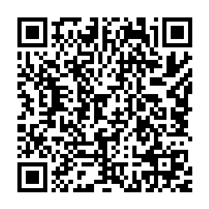 你原本将我带到这里便是打算以我换取北番那五座城池与一封和谈之书二维码生成