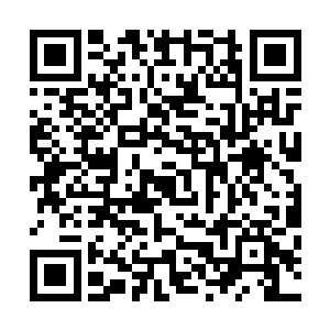 你去打他……哎呦……妈呀……我要死了……我要死了……二维码生成