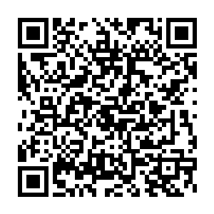 你又不是不知道自从您吧小金给偷走之后白蕊可是恨不得找我出口气二维码生成