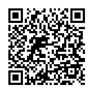 你只会因为对方掌握的力量和地位都远超过你而妒恨他二维码生成
