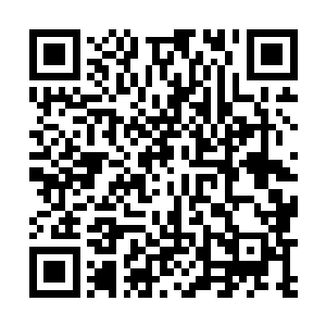 你只有百分之五十退走的几率和百分之五十受伤的几率二维码生成