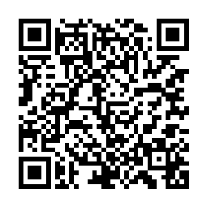 你只要用你的妖族本命气息和这滴血就可以让这块妖之结晶融化二维码生成