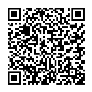 你可以把家族贡献点理解为只在怀远堂张氏子孙和家族之间流通的特殊货币二维码生成