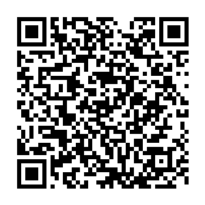 你可以把我给你的钱当做纯粹是追求经济利益的商业投资或借贷就行了二维码生成