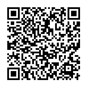 你可以根据自己的时间安排自由选择到任意一个老师的课堂上学习二维码生成