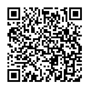 你可以用树心啊~不过我可不保证会不会被妖魔海海族认出来或者感应到二维码生成