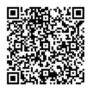 你可别告诉我这几天你用短矛猎杀铁牙鬣狗所使用的招数不是从铁血神拳里面演化出来的二维码生成