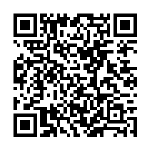 你可曾看到过哪段历史推进是由炮灰和配角完成的二维码生成