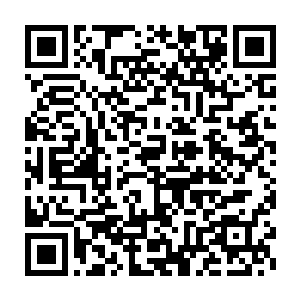 你可有想过为什么皇上会在你来之前就下了那一道任命白时中的圣旨二维码生成