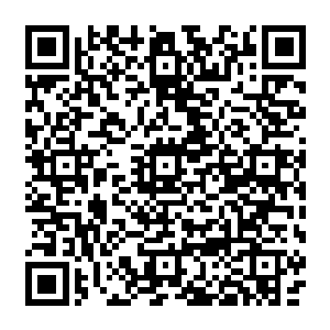 你可能找几百年也不见得能在地元界中再找到一件比拟现在的这把重锤更重的白银秘藏二维码生成