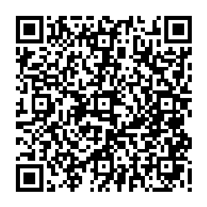你可还记得乾道友极其师弟加上为师联手尚且还花了一炷香功夫才探视完你的脉络二维码生成