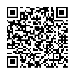 你同意今天晚上林烽先生在你的床上和你一起就寝么二维码生成