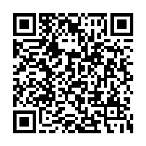 你和你公司的安琪儿密谋如何杀死周狼先生……二维码生成