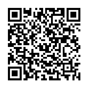 你和你妈那个美国的投资移民手续已经审批通过了二维码生成
