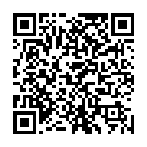你和你的族人已经在地底避难所里藏匿了几千年甚至上万年二维码生成