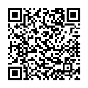 你哪怕是不动用法力老老实实摆个小摊卖包子也不成二维码生成