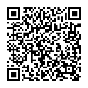 你哪怕是跟虎头小狮子一样选的木棉花之类的东西我也不会这么生气了……二维码生成