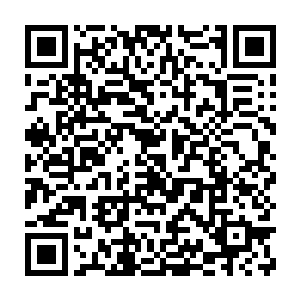 你四叔在岭南为官时就有人偷换了我们粮铺提供给百姓们的旱稻种子二维码生成
