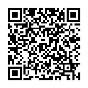 你在公安局办公大楼和公安小区项目招投标过程中二维码生成