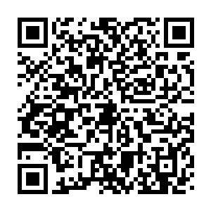 你在北边有什么储备室……你别这么看着我……真是老祝跟我说的二维码生成