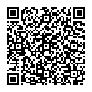 你在实验室中用元能灵气酵母菌和水果一起泡制的那几大缸溶液已经完成发酵有一段时间了二维码生成