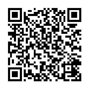 你在襄樊钱庄拍卖过的图纸也与我墨门有极大的渊源二维码生成