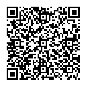 你在这次虫魔之战和学子考核中表现出来的实力和所作出的贡献大家都是有目共睹二维码生成