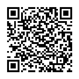 你在这里杀了学院的人院长要是知道的话一定不会放过你的二维码生成
