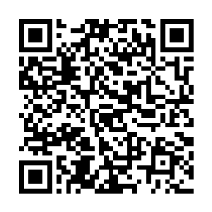 你大师兄马上要胜任戒律堂新长老了……现在……你们……二维码生成