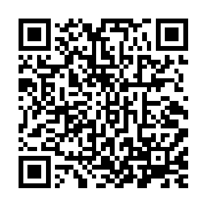 你大路叔去年还通过函授拿到了市场管理专业的专科毕业证呢二维码生成