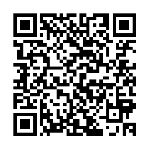 你好像曾经是华夏五大中心的人……我们这里记录了你的档案二维码生成