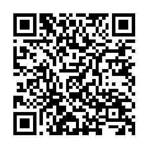 你如果指望在这种公众图书馆里找一本真正拥有收藏价值的医书二维码生成