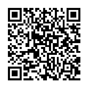 你完全无法想象站在红珊瑚资本身后的钻石联盟有多么的可怕二维码生成