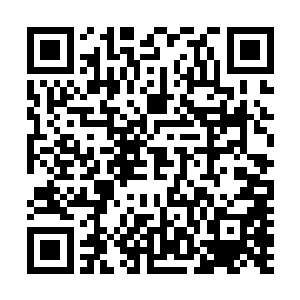 你小子倒是机灵的很……桀桀……我怎么看你越来越顺眼了二维码生成