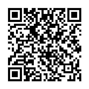 你就从人类的战争以及无穷无尽的暴力中汲取信息和养分二维码生成