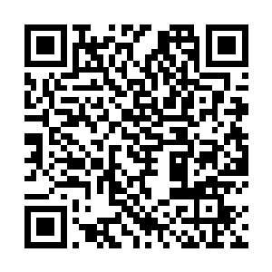 你就光明正大地用你的实际行动或者甜言蜜语去感动她二维码生成