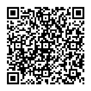 你就放心地等着看他们被征服的表情吧――今年北美年冠被这部电影拿到我都不会奇怪二维码生成