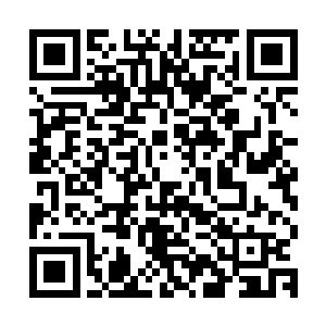 你就是一个亲手把自己女儿推进你构造的悲惨事件里的母亲――二维码生成