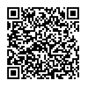 你就是吃定了我不舍得让你一个人跟着他们去找那什么劳什子的赤巢是吧二维码生成