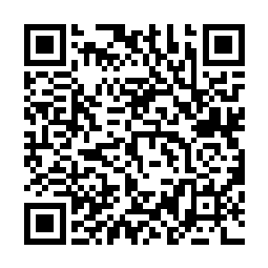 你就算将整个秦家的人都给杀了恐怕也没有办法得到解药的二维码生成