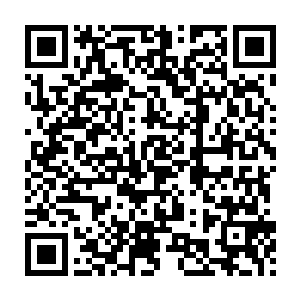 你就要把你二叔的钱要回去……那你以后让你二叔和二婶怎么生活呢二维码生成