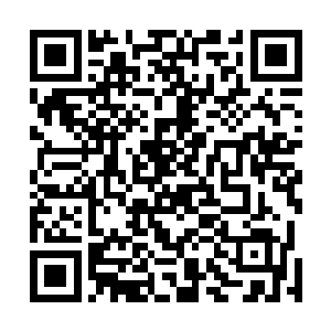 你居然会以为我这位掌握着懒惰之规则的原罪之主会重伤二维码生成
