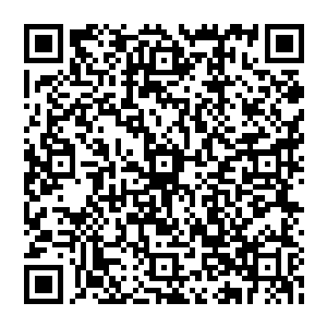 你居然勾结这样的犯仙冲撞我现在又私闯审议司已经等同谋逆我没有你这么一个属下乖乖束手就擒否则二维码生成