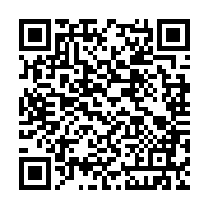 你已经在地球上面找寻不到这帮家伙的任何资料了二维码生成