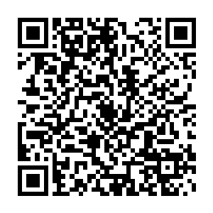 你已经是个活着的传奇了――而我难以想象我正为活着的传奇服务二维码生成