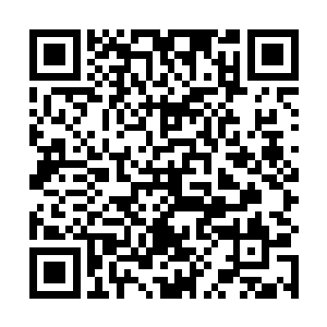 你已经老了……不中用了……就要死了……真可怜……二维码生成