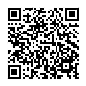 你已经被我这种幼稚而愚蠢的行为勾起了正常的生理反应二维码生成