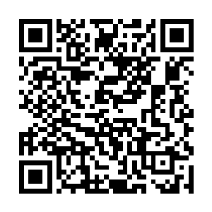 你已经达到了你们华夏玄学界所说的六品宗师境界了二维码生成