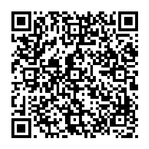 你带这么一个刚从不知道哪个犄角旮旯物质位面过来什么都不懂的小丫头给你娘治病二维码生成