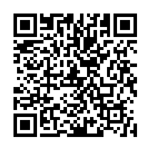 你应该在你的族人面前展现一下你的神级成长性龙血妖灵了二维码生成